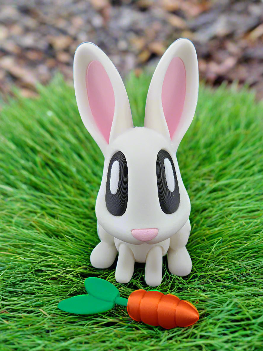 Bunny