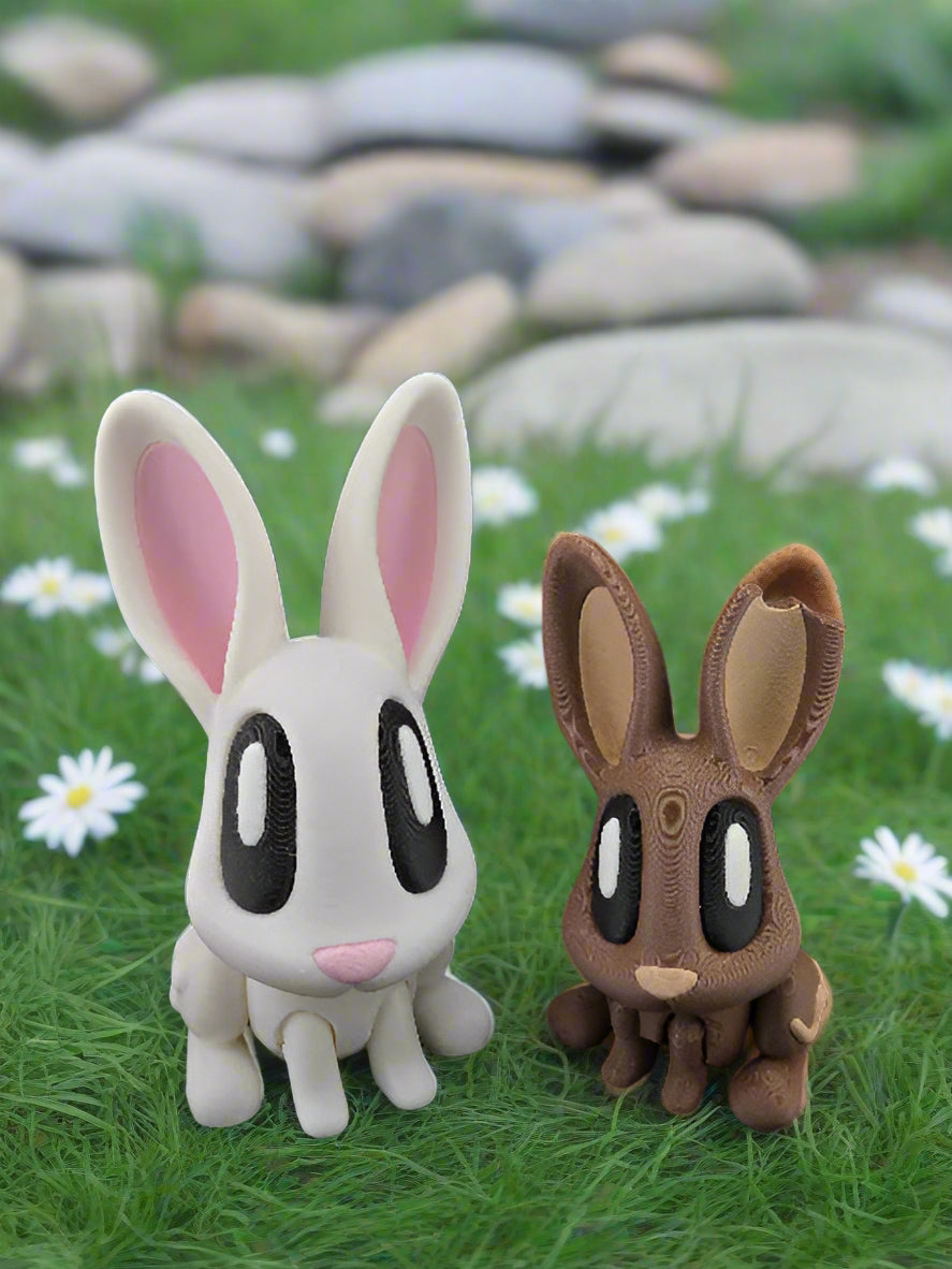 Bunny