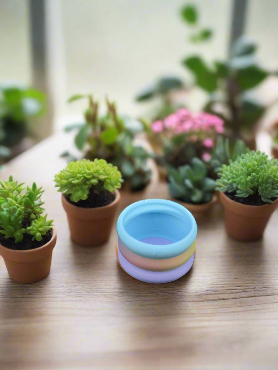 Blob Flowers & Flower Pots (ordered separately)