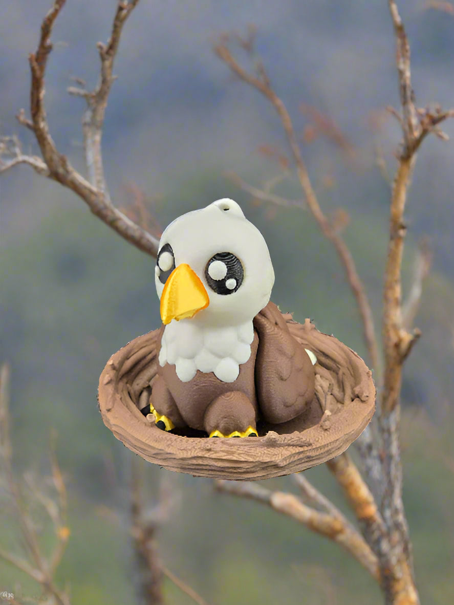 Bald Eagle & Nest