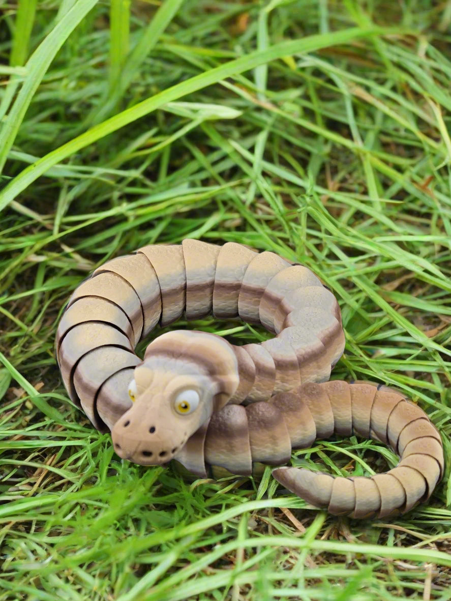 Ball Python