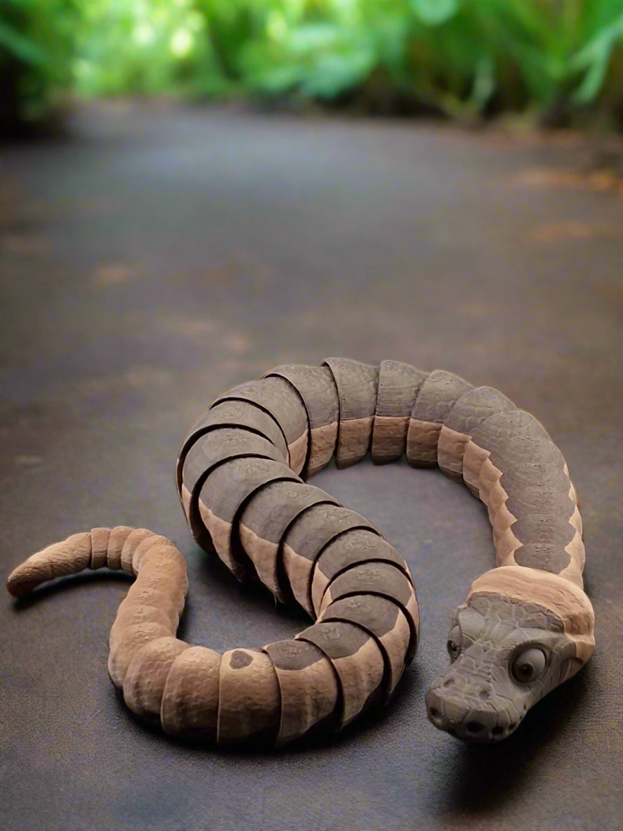 Ball Python