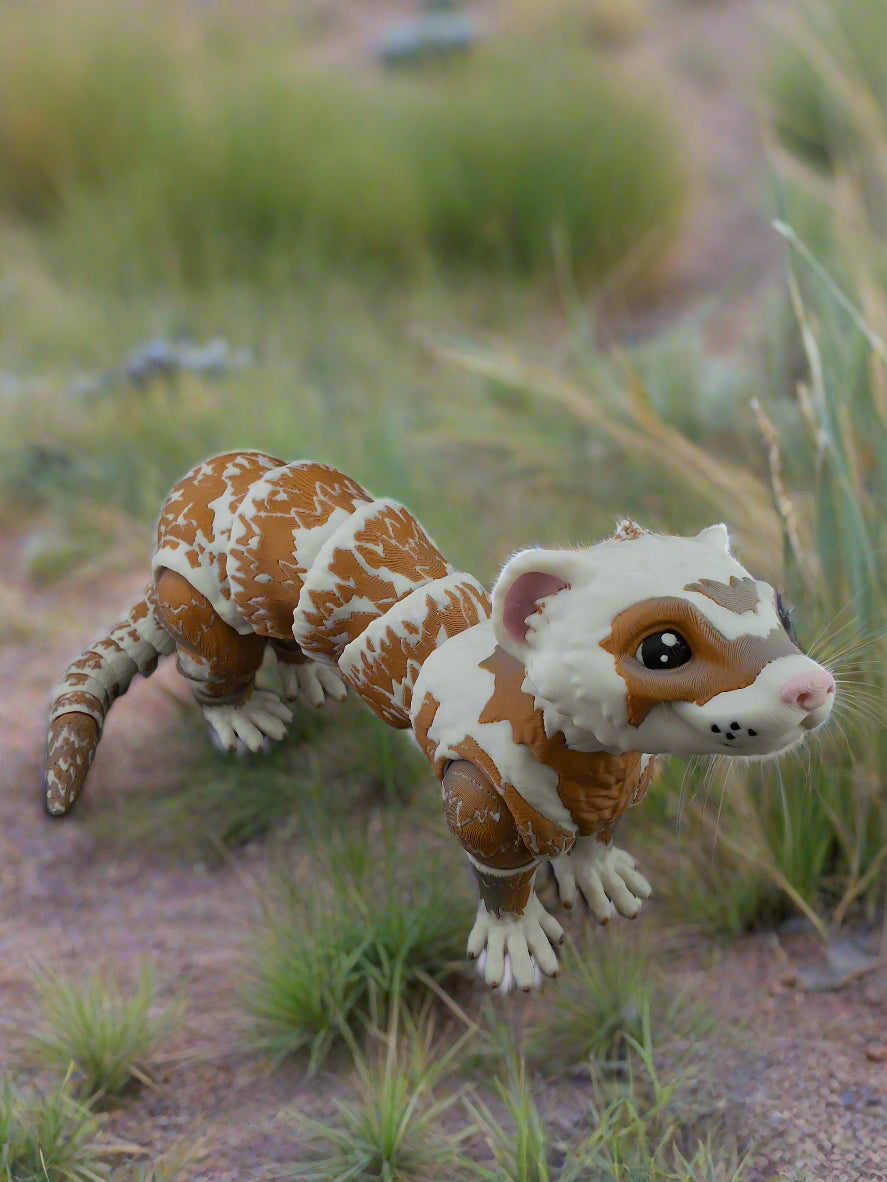 Ferret