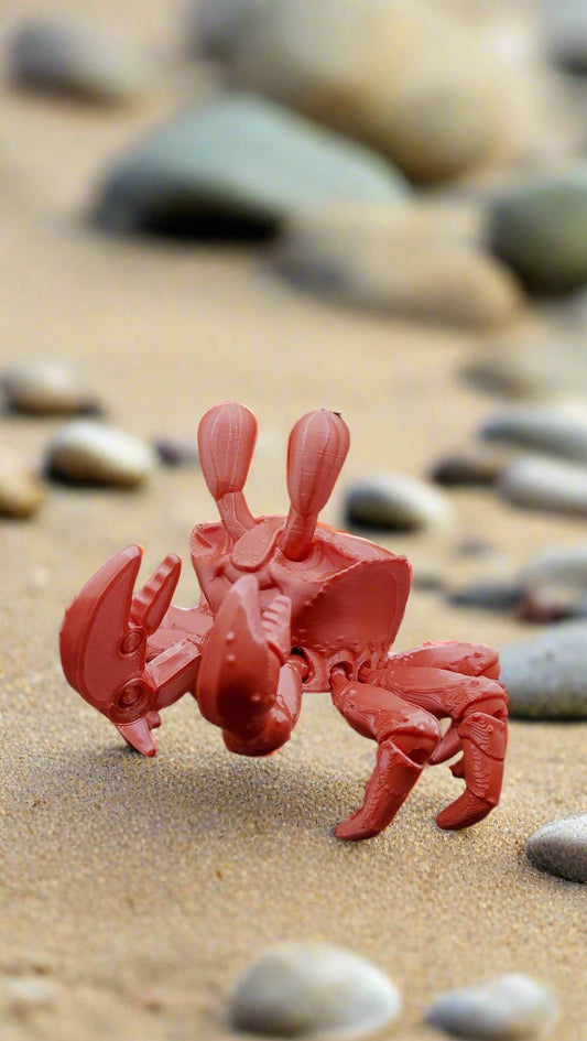 Articulated Ghost Crab