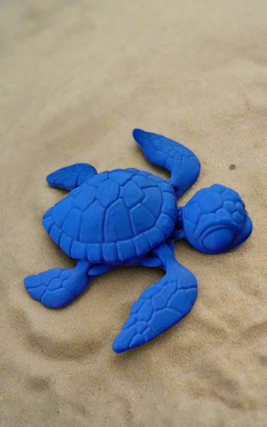 Sea Turtle