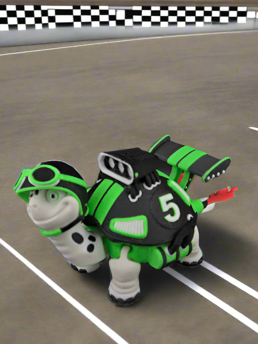 Racing Turtles