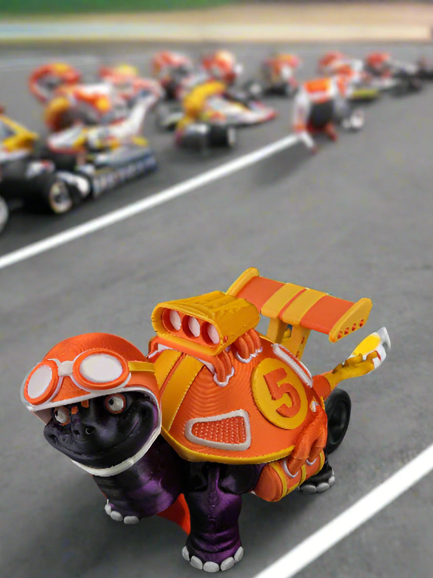 Racing Turtles