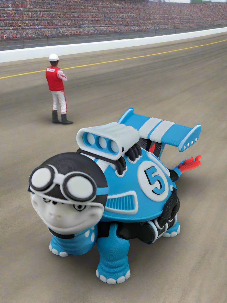 Racing Turtles