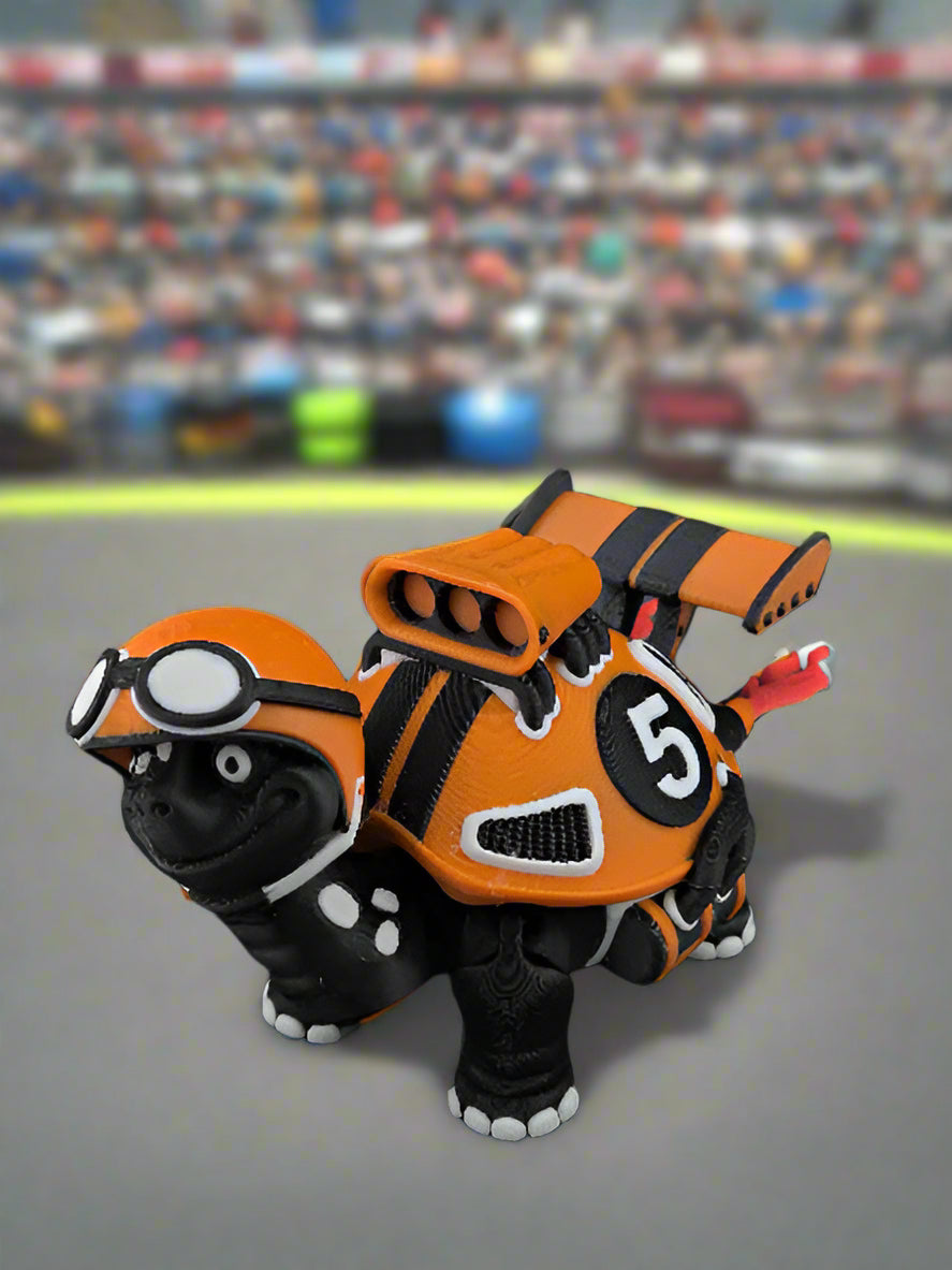 Racing Turtles