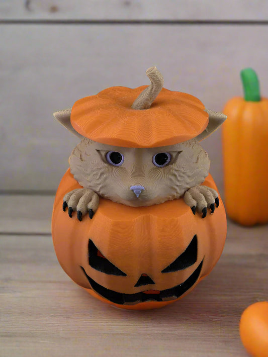 Pumpkin Pal