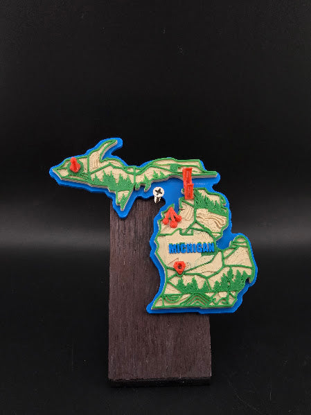 Michigan Fridge Magnet