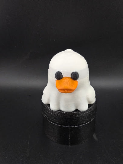 Daniel's Ducks