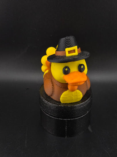 Daniel's Ducks
