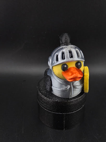 Daniel's Ducks