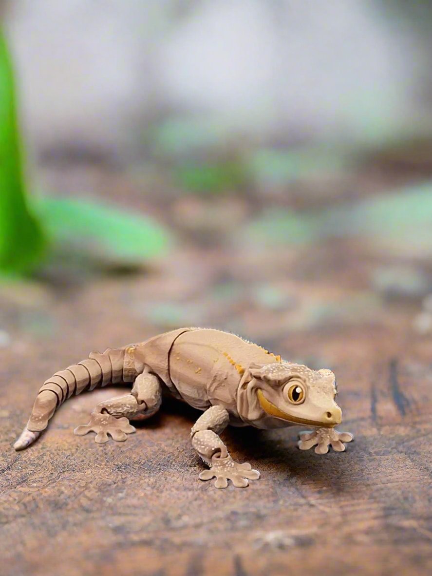 Crested Gecko