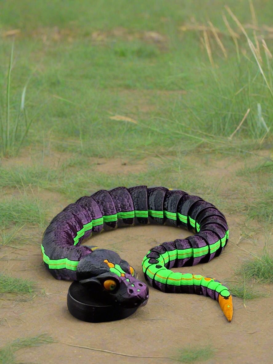 Ball Python